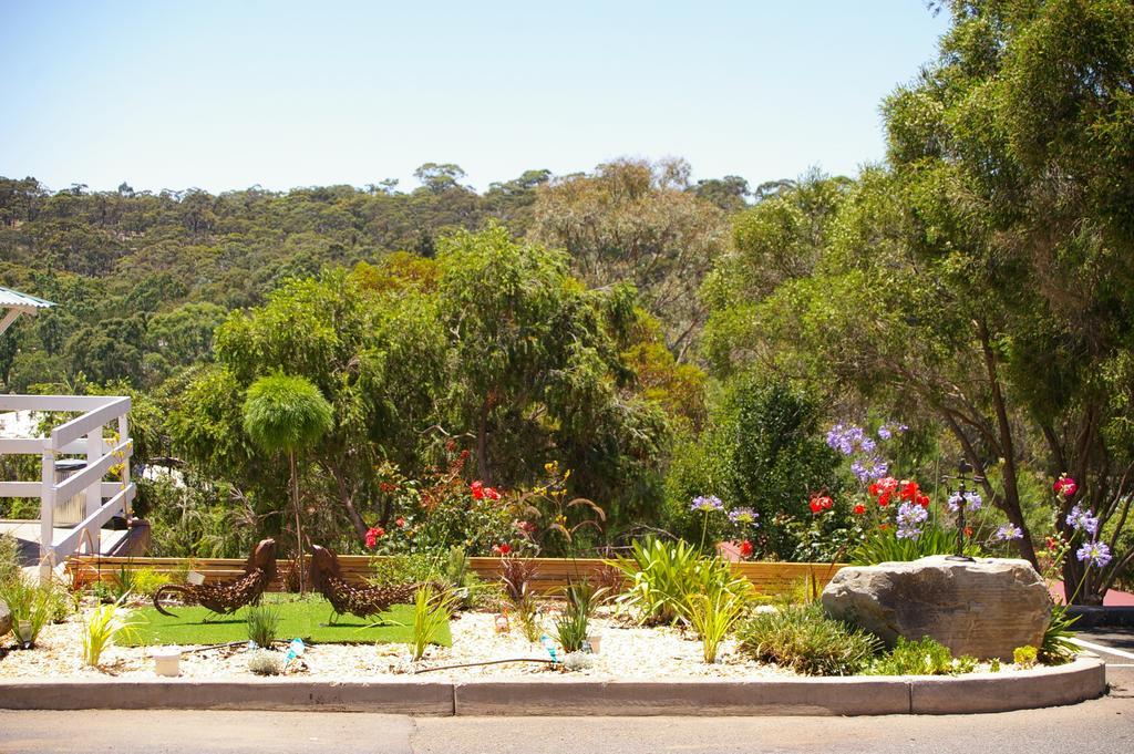 Clare Valley Motel Exterior photo