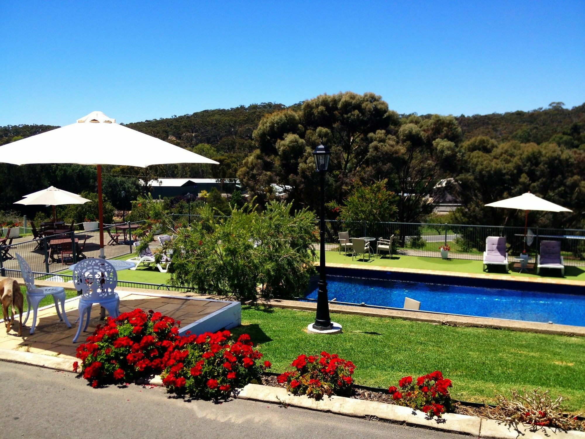 Clare Valley Motel Exterior photo